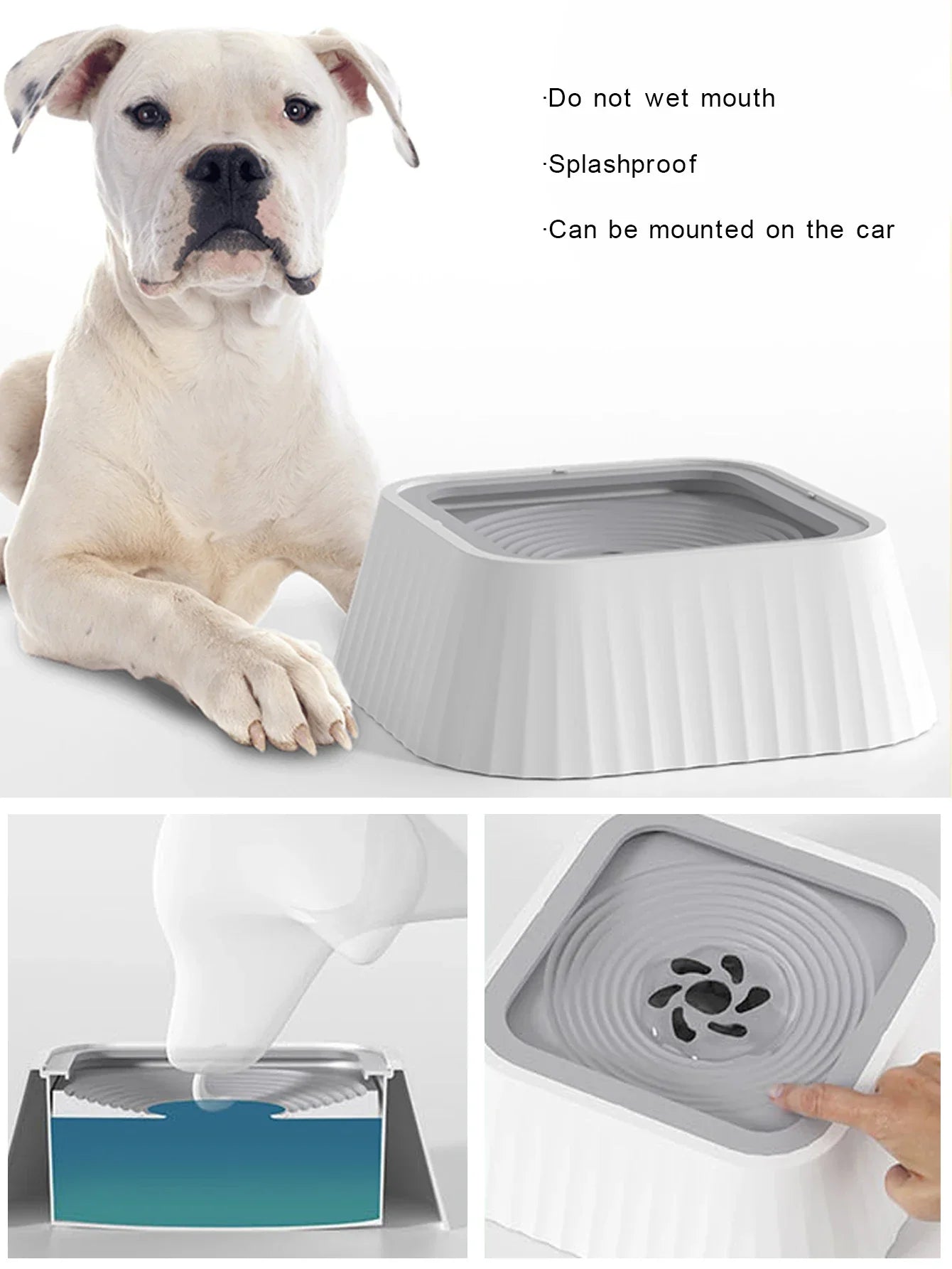 No-Spill Pet Water Bowl — Floating Plate Anti-Splash Design