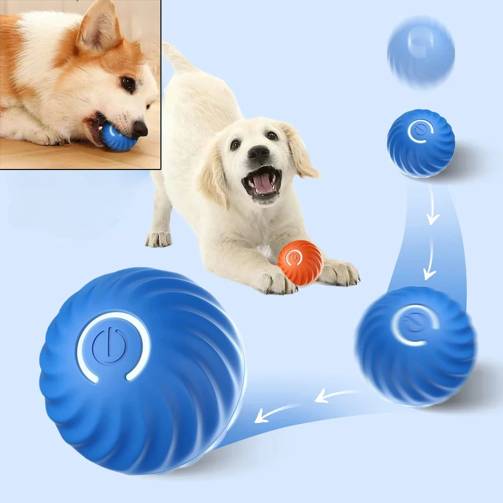 Smart Auto-Moving Dog Toy Ball — USB Rechargeable