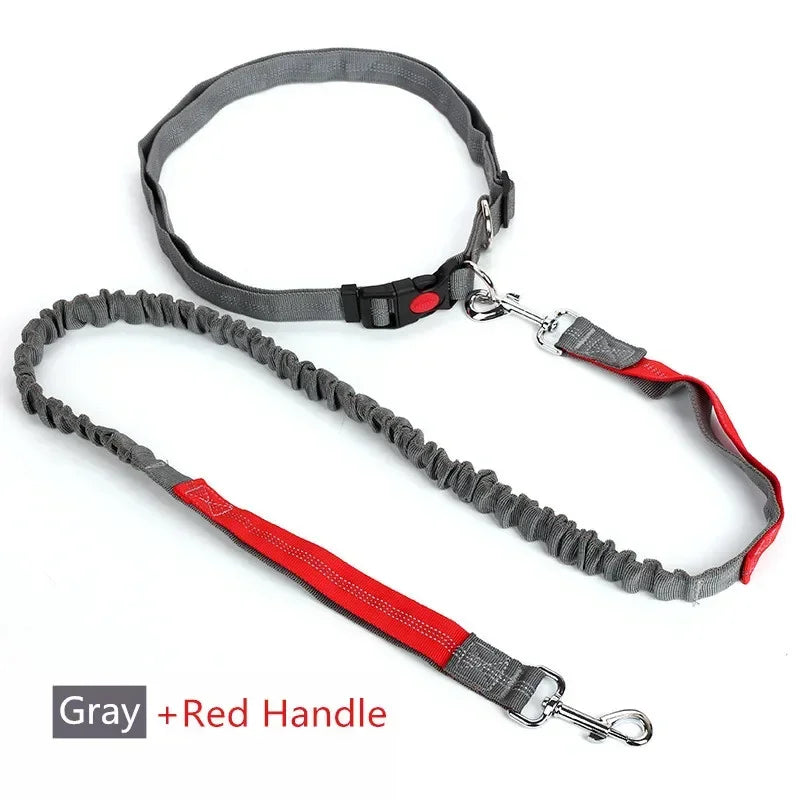 Hands-Free Dog Leash — Adjustable Waist Belt for Running & Jogging