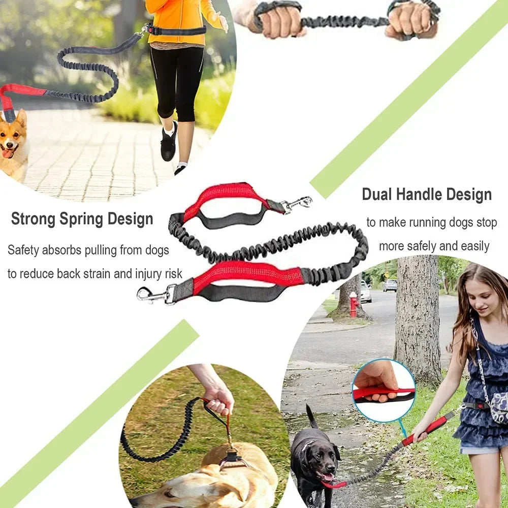 Hands-Free Dog Leash — Adjustable Waist Belt for Running & Jogging