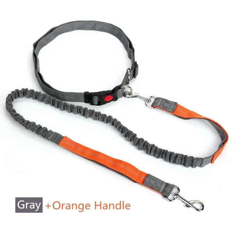 Hands-Free Dog Leash — Adjustable Waist Belt for Running & Jogging