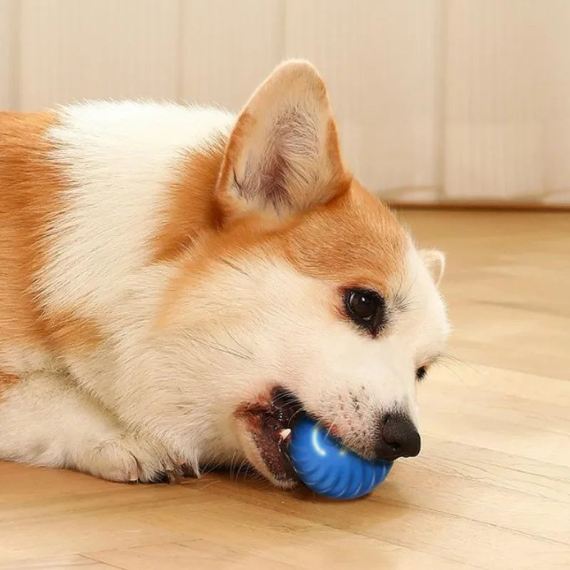 Interactive Bouncing Pet Toy Ball — Smart USB Rechargeable