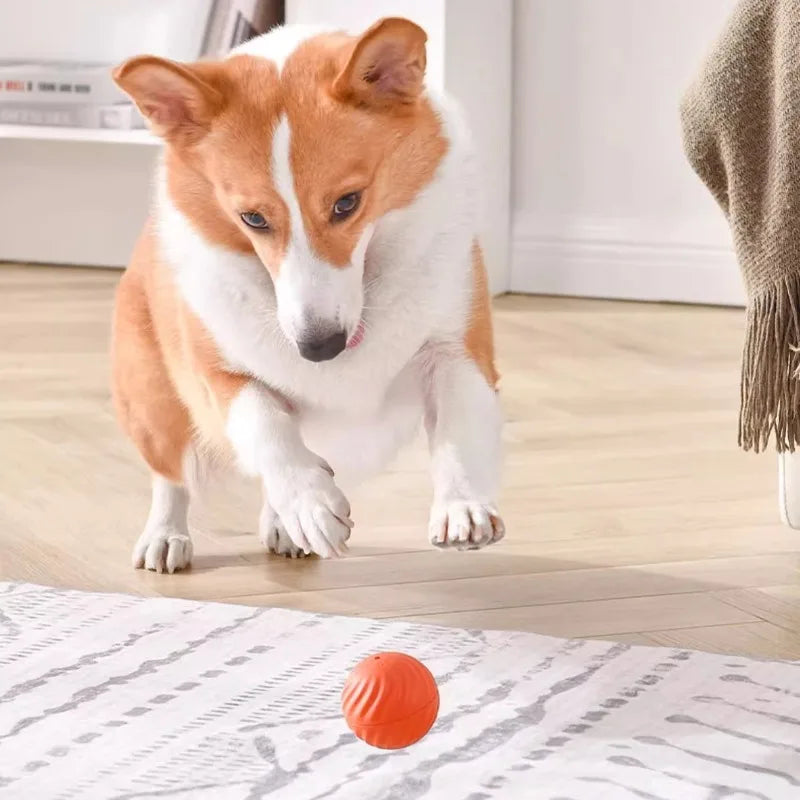 Interactive Bouncing Pet Toy Ball — Smart USB Rechargeable