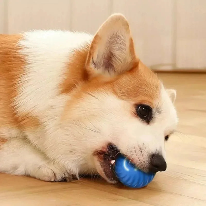 Smart Auto-Moving Dog Toy Ball — USB Rechargeable