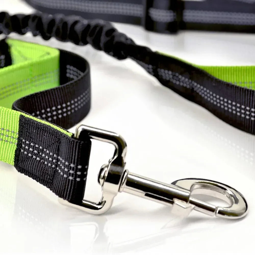 Hands-Free Dog Leash — Adjustable Waist Belt for Running & Jogging
