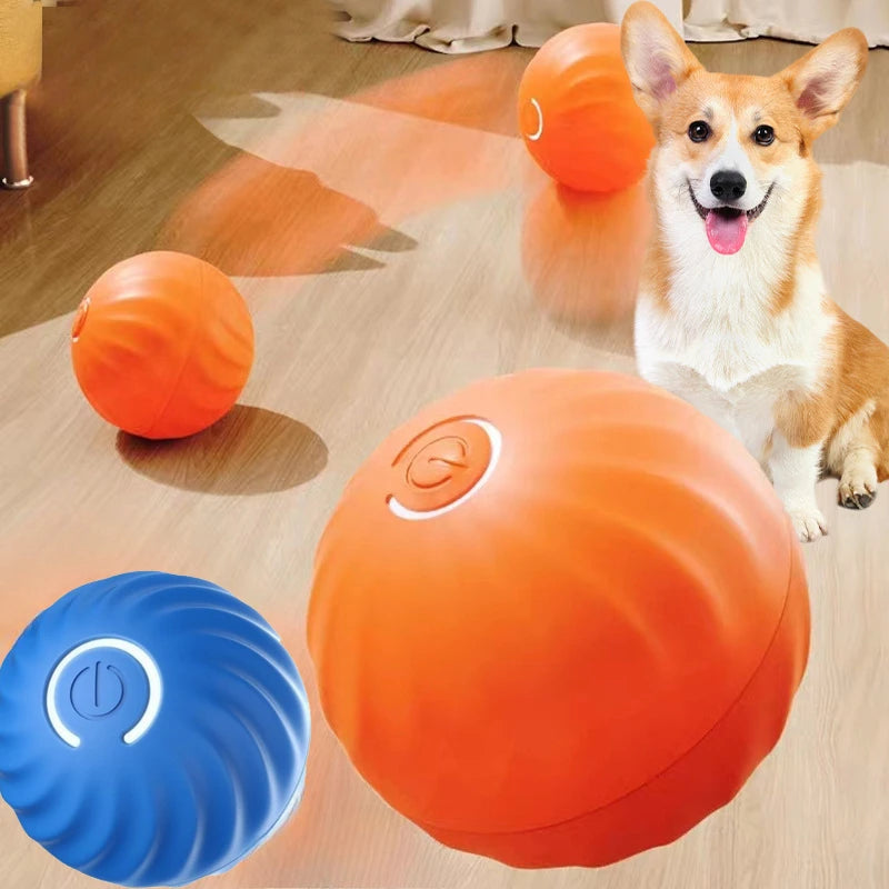 Interactive Bouncing Pet Toy Ball — Smart USB Rechargeable