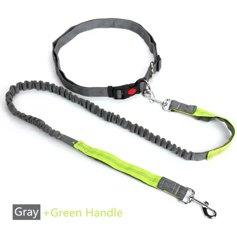 Hands-Free Dog Leash — Adjustable Waist Belt for Running & Jogging