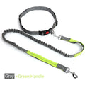 Hands-Free Dog Leash — Adjustable Waist Belt for Running & Jogging