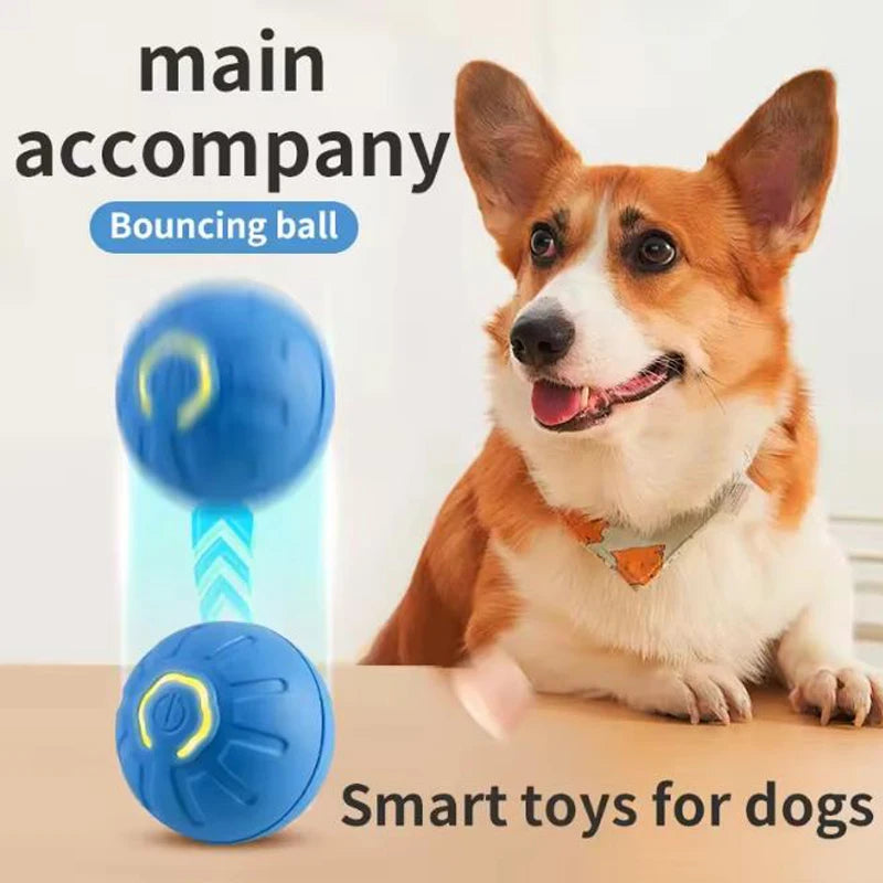 Electronic Interactive Pet Toy Ball — USB Rechargeable Auto-Bounce