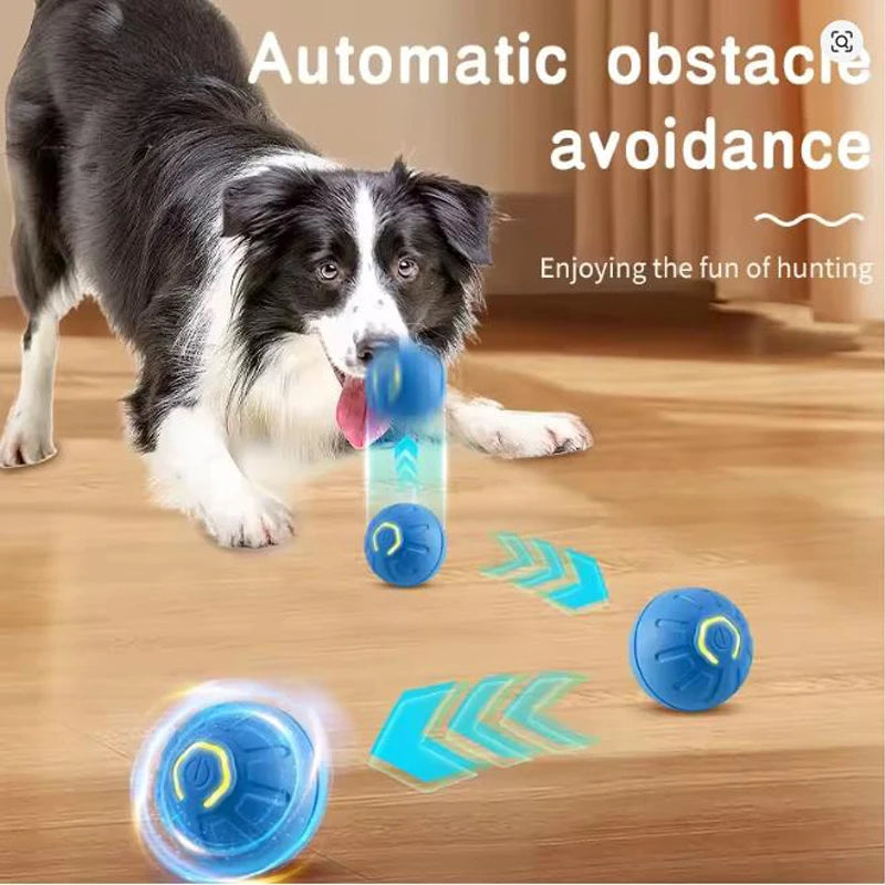 Electronic Interactive Pet Toy Ball — USB Rechargeable Auto-Bounce