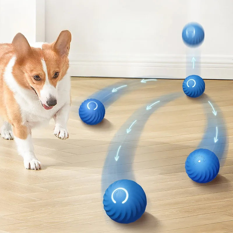 Interactive Bouncing Pet Toy Ball — Smart USB Rechargeable