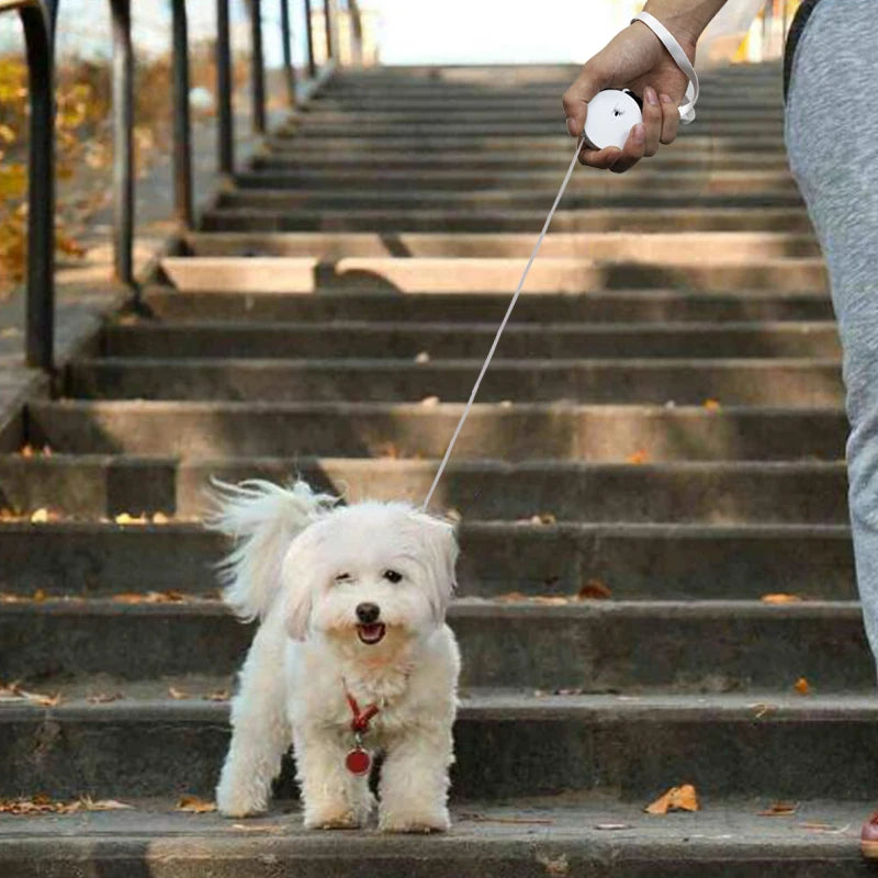 Retractable Dog Leash — 2M Lightweight & Durable