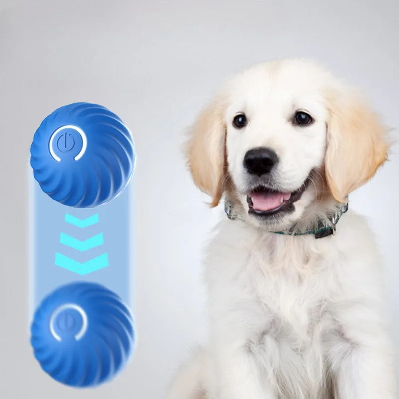Interactive Bouncing Pet Toy Ball — Smart USB Rechargeable