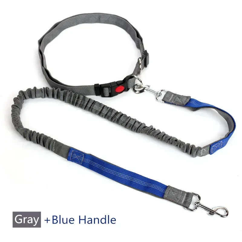 Hands-Free Dog Leash — Adjustable Waist Belt for Running & Jogging