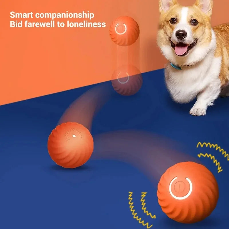 Smart Auto-Moving Dog Toy Ball — USB Rechargeable