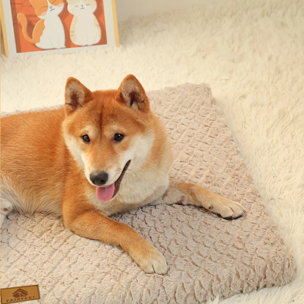 Orthopedic Dog Bed — 3D Foam, Waterproof & Washable