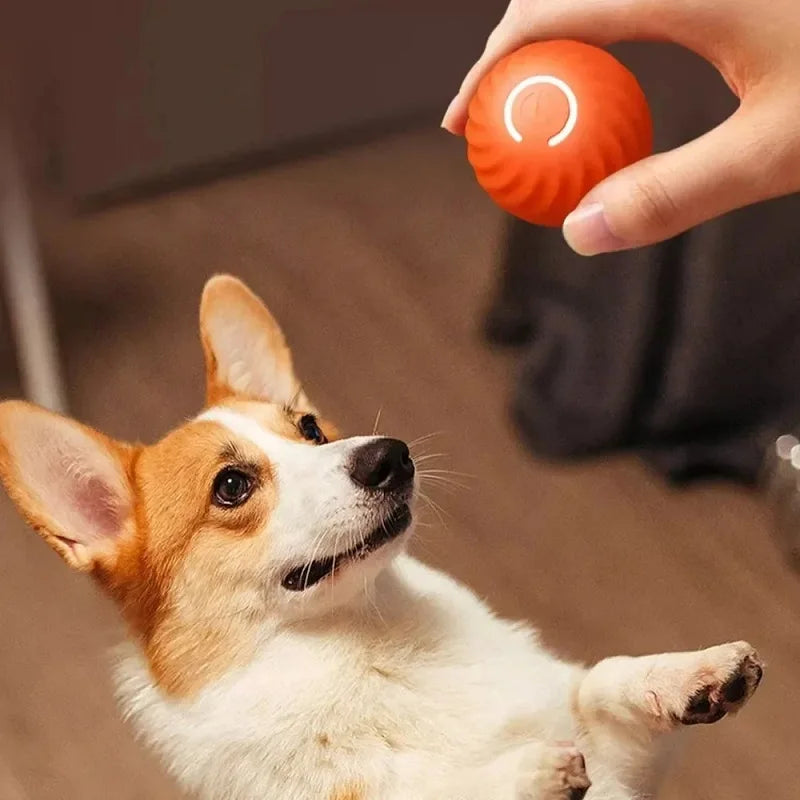 Smart Auto-Moving Dog Toy Ball — USB Rechargeable