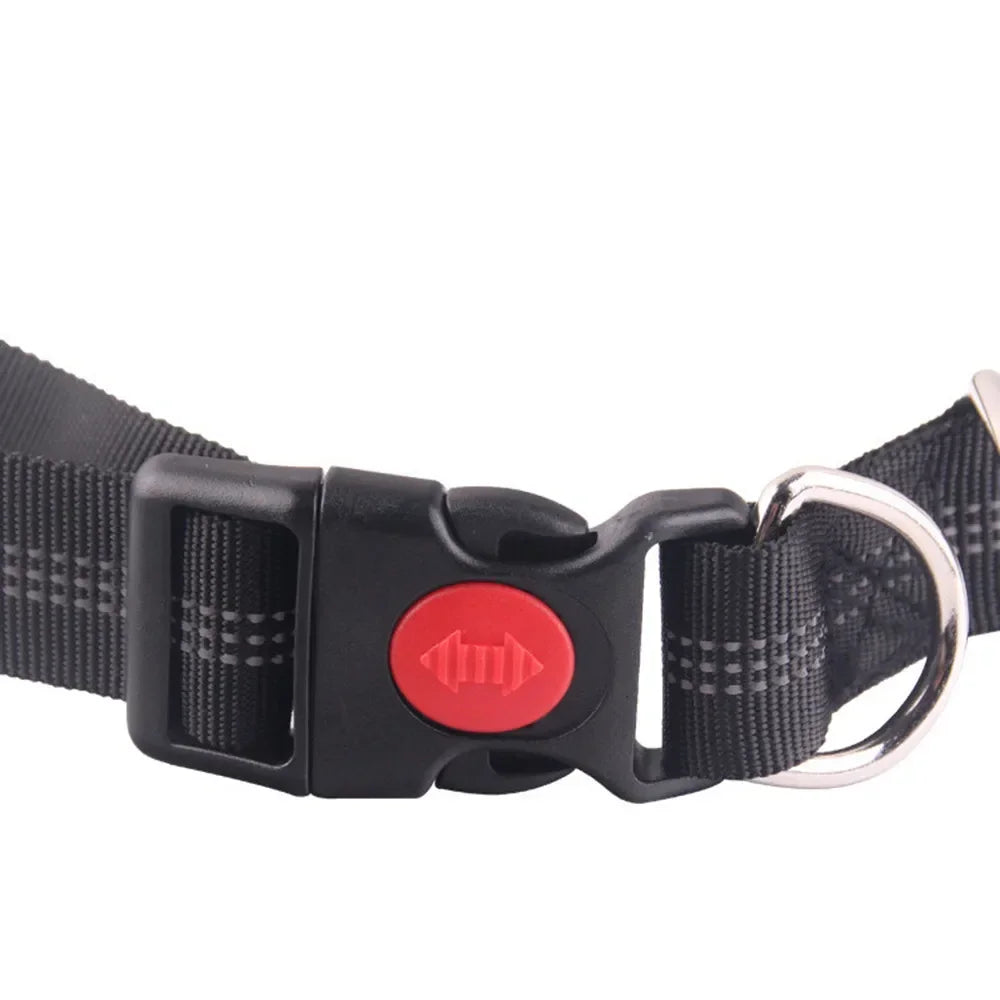 Hands-Free Dog Leash — Adjustable Waist Belt for Running & Jogging