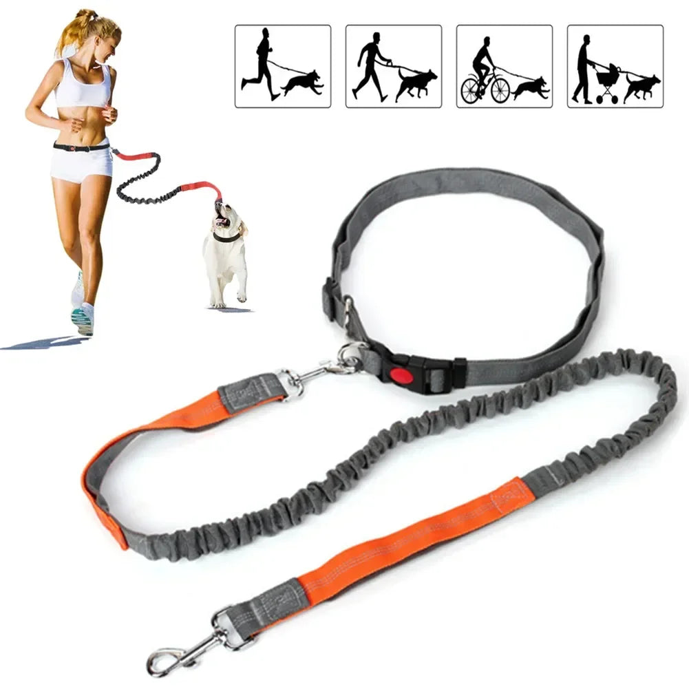Hands-Free Dog Leash — Adjustable Waist Belt for Running & Jogging